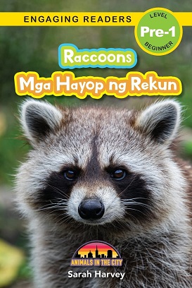 raccoon0001